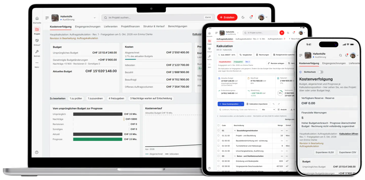 Screenshot aus Fidrel: Projektbudgets